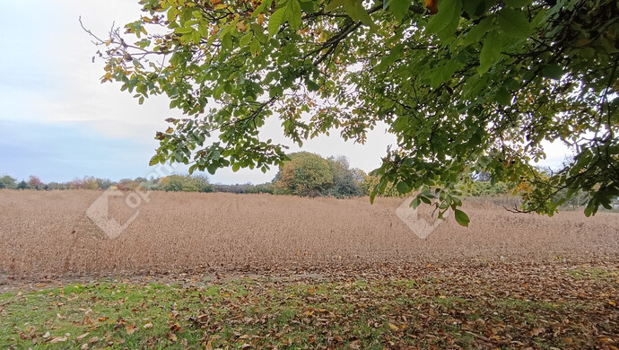 14. kép | Eladó Családi ház, Szepetnek (#178171)