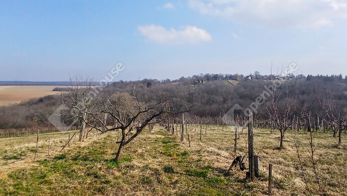 5. kép | Eladó Zárt kert, Bak (#180229)