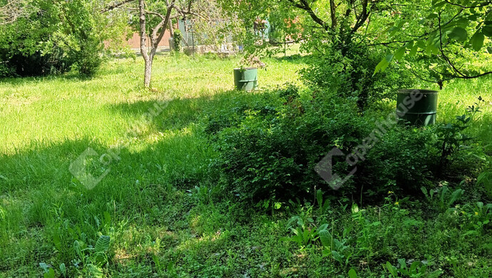 7. kép | Eladó Telek, Monorierdő (#174833)