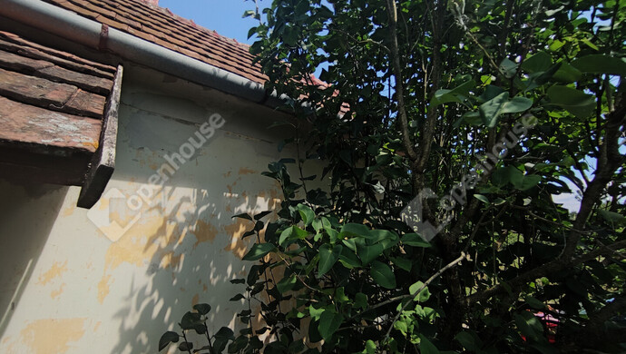 24. kép | Eladó Nyaraló, Szepetnek (#176202)