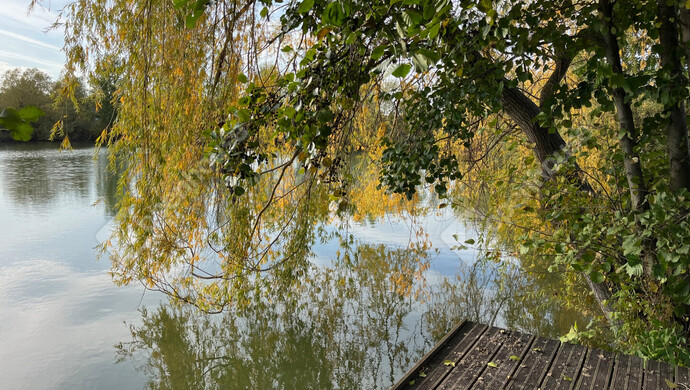 18. kép | Eladó Családi ház, Hövej (#177920)