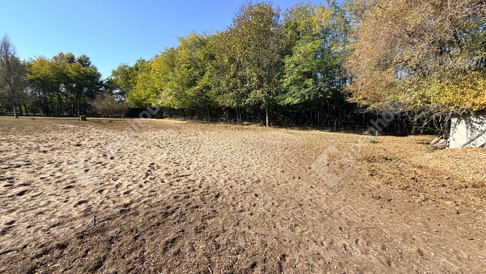 28. kép | Eladó Családi ház, Pilis (#178002)