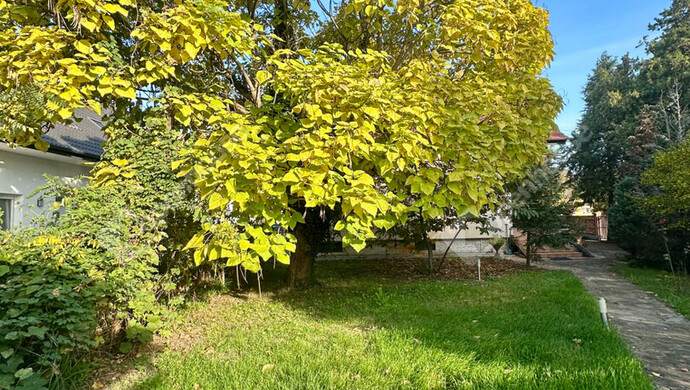 15. kép | Eladó Családi ház, Győr (#178121)