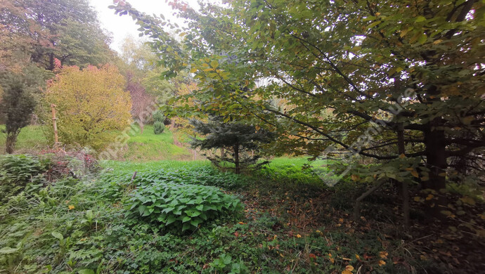 12. kép | Eladó Nyaraló, Homokkomárom (#179217)