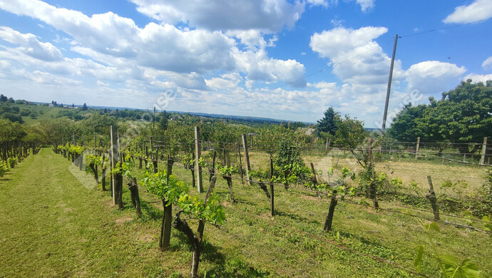 52. kép | Eladó Nyaraló, Nagykanizsa (#172030)