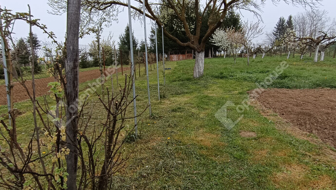 40. kép | Eladó Családi ház, Nagykanizsa (#181326)