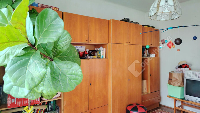 8. kép | Székesfehérvár eladó családi ház | Eladó Családi ház, Székesfehérvár (#177543)