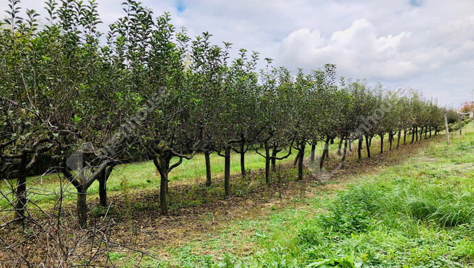 18. kép | Eladó Nyaraló, Tótszentmárton (#180089)