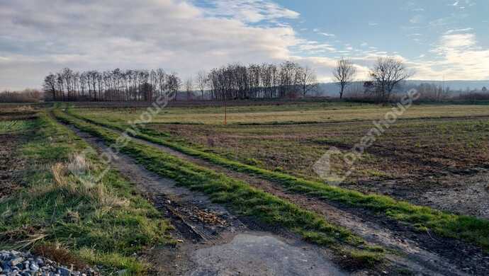 5. kép | Eladó Telek, Csepreg (#178664)