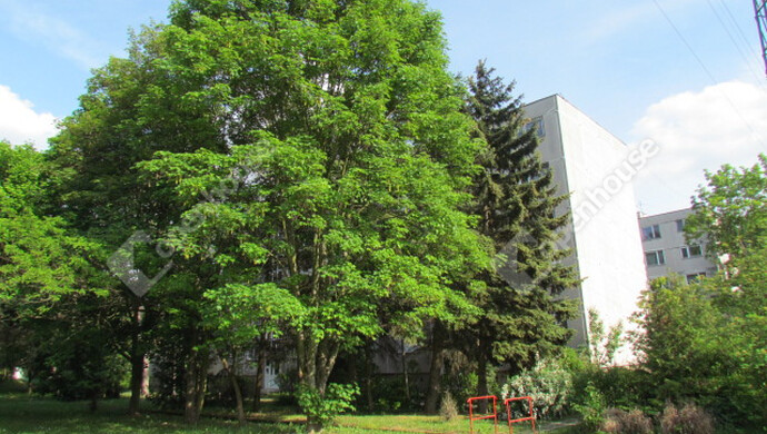 12. kép | Eladó Társasházi lakás, Miskolc (#179048)