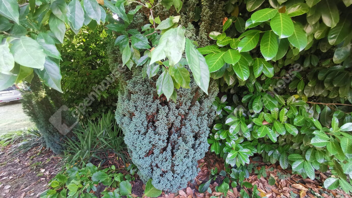 28. kép | Eladó Nyaraló, Homokkomárom (#176681)