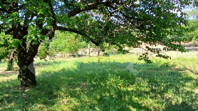 1. kép | Eladó Zárt kert, Egervár (#182776)