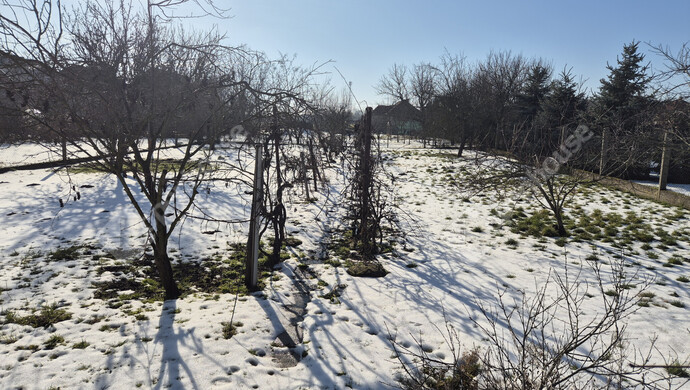 20. kép | Eladó Családi ház, Sajólád (#179579)