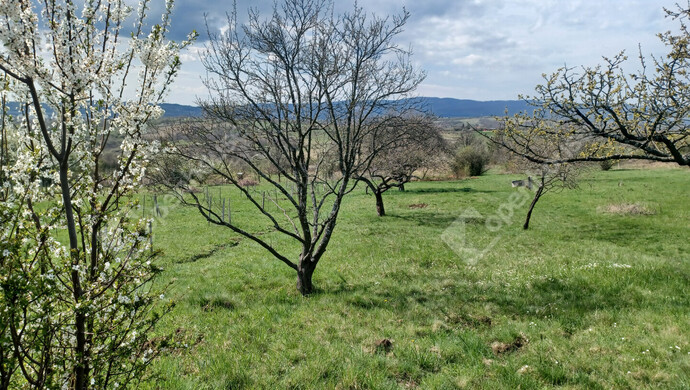 1. kép | Eladó Zárt kert, Miskolc (#175195)