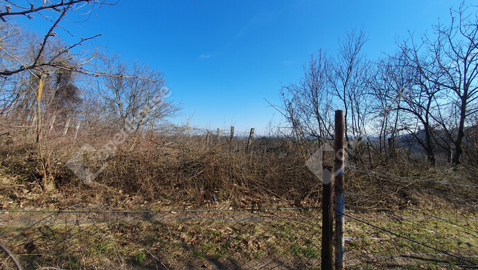 87. kép | Eladó Nyaraló, Homokkomárom (#180173)