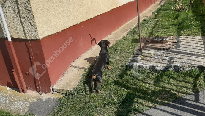 55. kép | Eladó Családi ház, Nagykanizsa (#180380)