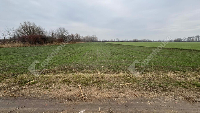 0. kép | Eladó Telek, Csévharaszt (#178889)