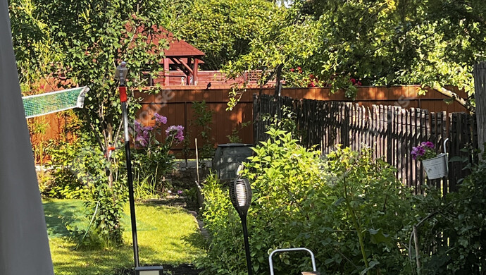 29. kép | Eladó Családi ház, Tiszaújváros (#179694)