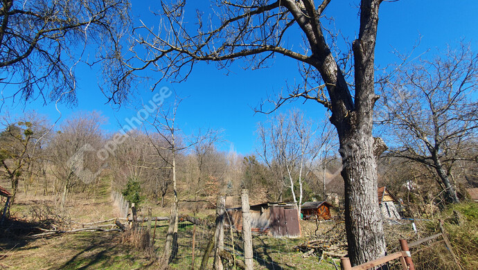 2. kép | Eladó Zárt kert, Homokkomárom (#180107)