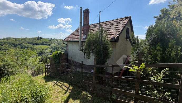 0. kép | Eladó Zárt kert, Zalaegerszeg (#181946)