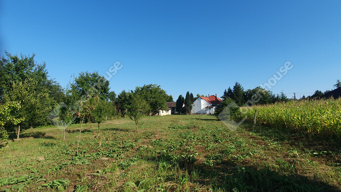 3. kép | Eladó Telek, Gyékényes (#183294)