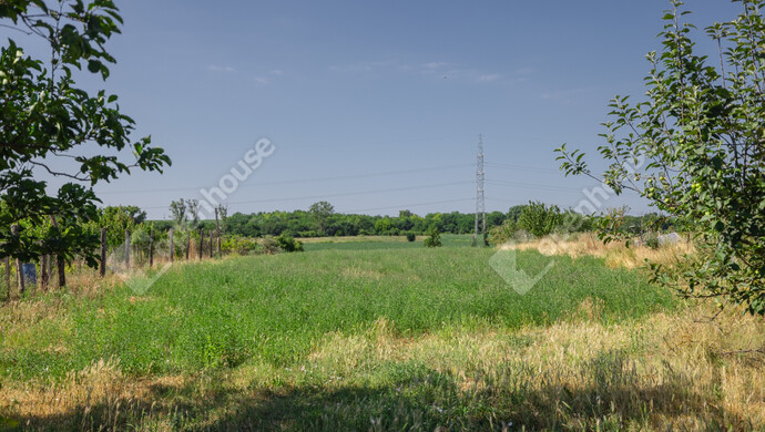 12. kép | Eladó Családi ház, Balatonszabadi (#176603)