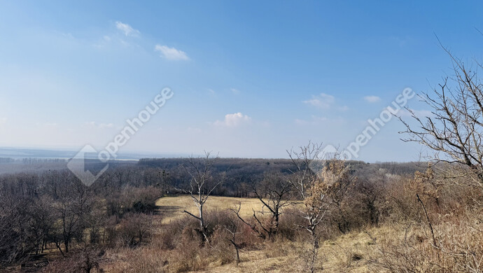 14. kép | Eladó Családi ház, Hollád (#177734)