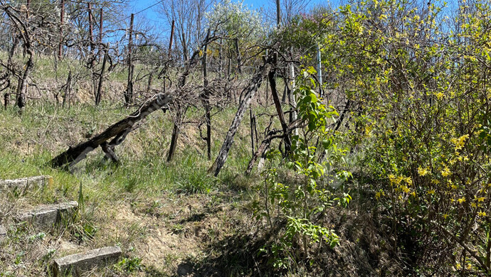 1. kép | Eladó Zárt kert, Ságvár (#178272)