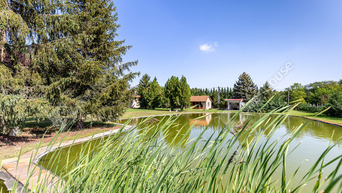 2. kép | Eladó Tanya, Szatymaz (#177035)