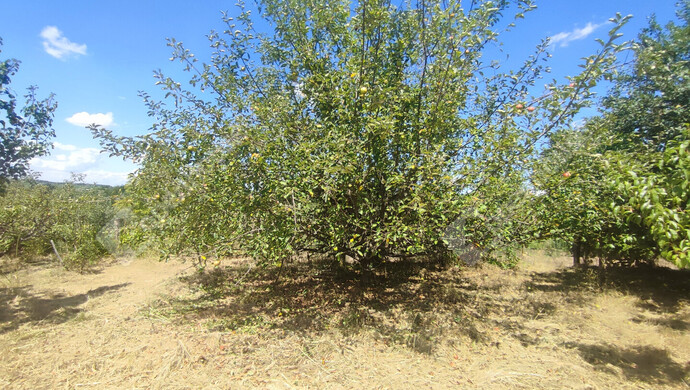 58. kép | Eladó Nyaraló, Szepetnek (#176202)