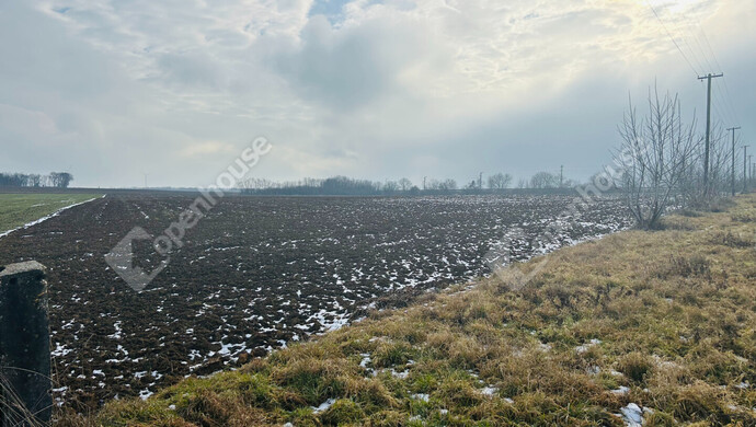 3. kép | Eladó Mezőgazdasági, Pereszteg (#179568)