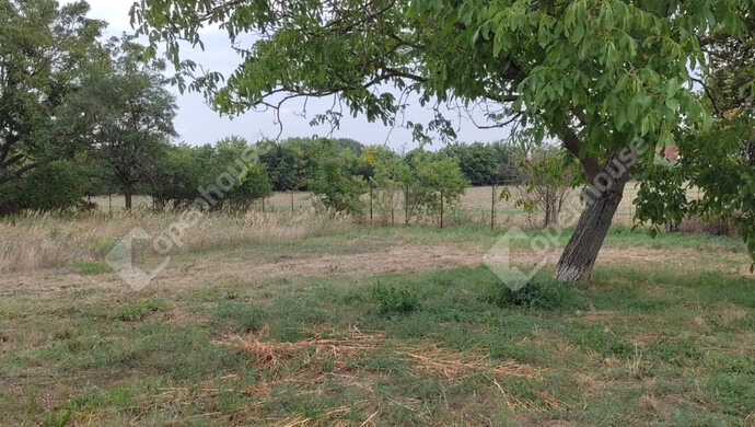 20. kép | Eladó Családi ház, Nemeskocs (#176704)