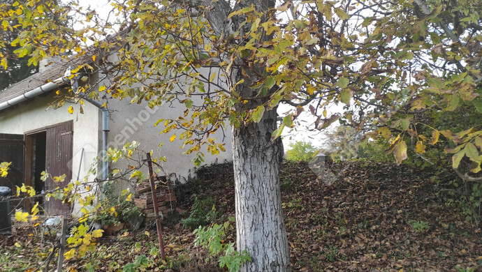 6. kép | Eladó Családi ház, Kéthely (#177851)