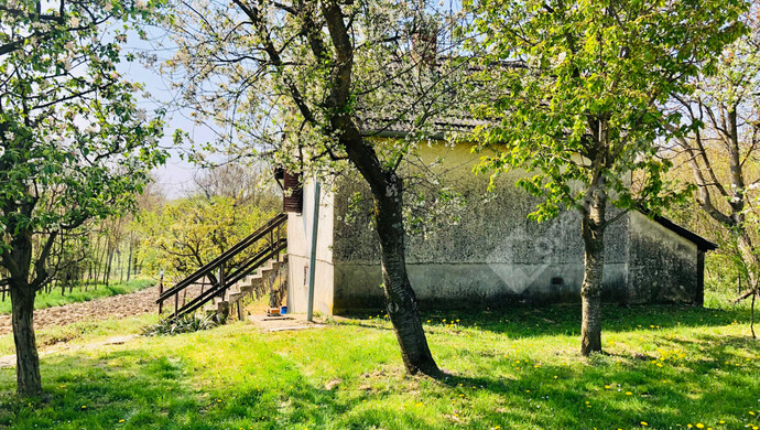 26. kép | Eladó Nyaraló, Murakeresztúr (#181161)