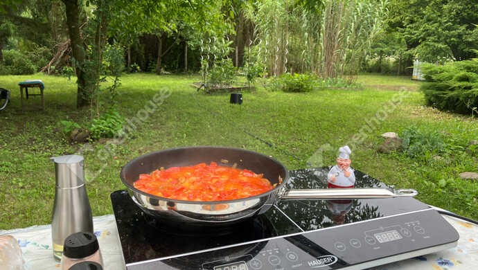 1. kép | Eladó Zárt kert, Bőny (#180133)