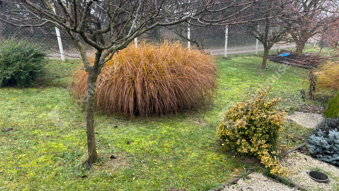 7. kép | Eladó Zárt kert, Zalaegerszeg (#179029)