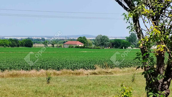 15. kép | Sárszentmihály, családi ház eladó | Eladó Családi ház, Sárszentmihály (#175555)