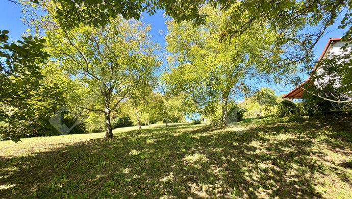 15. kép | Eladó Családi ház, Galambok (#177441)