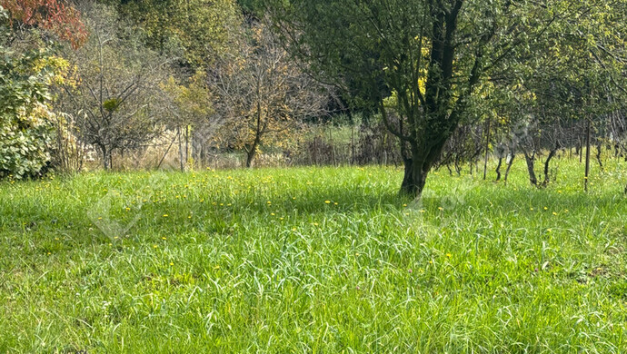 4. kép | Eladó Zárt kert, Milejszeg (#177563)