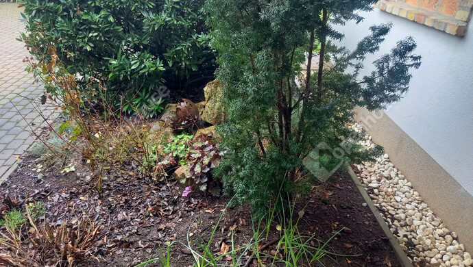 75. kép | Eladó Családi ház, Pápa (#178516)