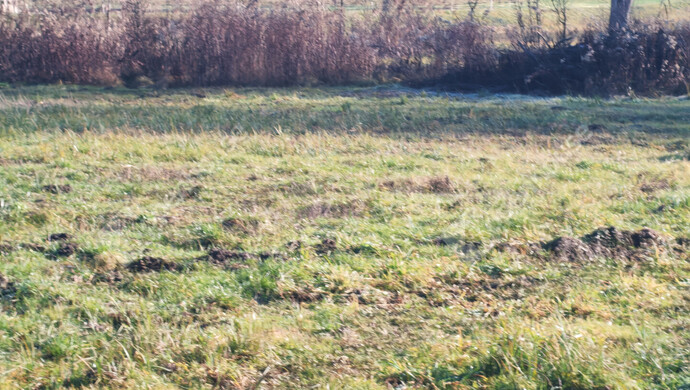 22. kép | Eladó Telek, Kiscsehi (#178890)