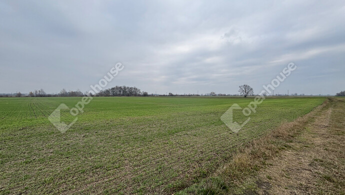 4. kép | Eladó Telek, Csévharaszt (#178893)