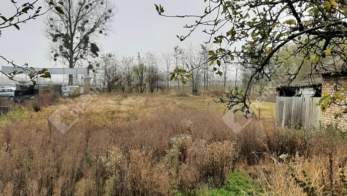 16. kép | Eladó Családi ház, Pápa (#176739)