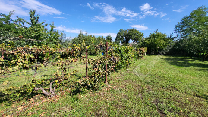 15. kép | Eladó Családi ház, Sajólád (#176979)