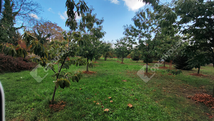 33. kép | Eladó Nyaraló, Nagykanizsa (#177970)