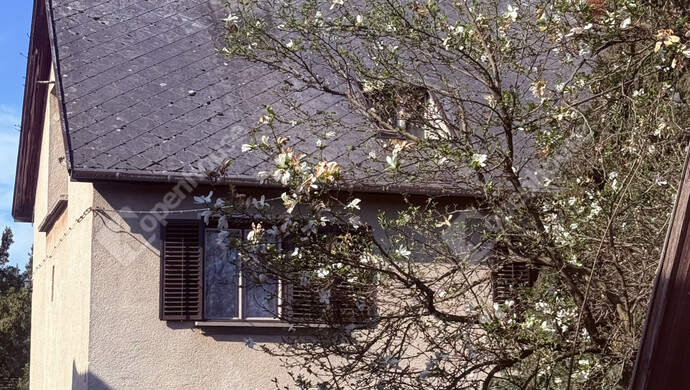 0. kép | Eladó Családi ház, Bakonyszentlászló (#181054)