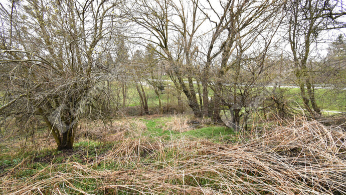 8. kép | Eladó Családi ház, Pusztaszentlászló (#174100)