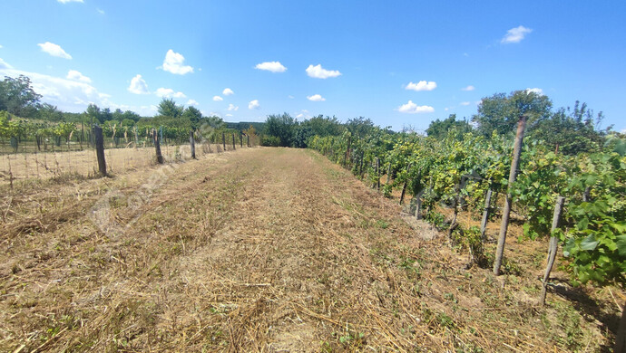 40. kép | Eladó Nyaraló, Szepetnek (#176202)