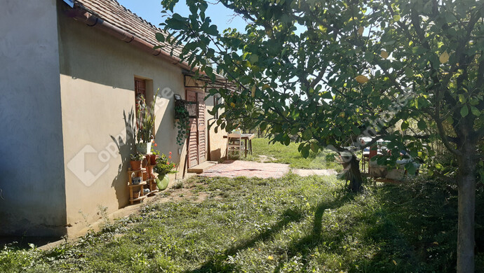 0. kép | Eladó Nyaraló, Nagykanizsa (#177111)