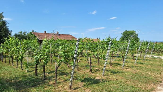 2. kép | Eladó Családi ház, Marcali (#177772)